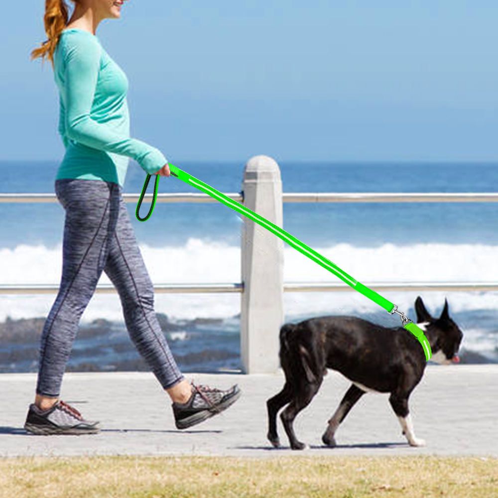 LED Pet Collar and Leash Set