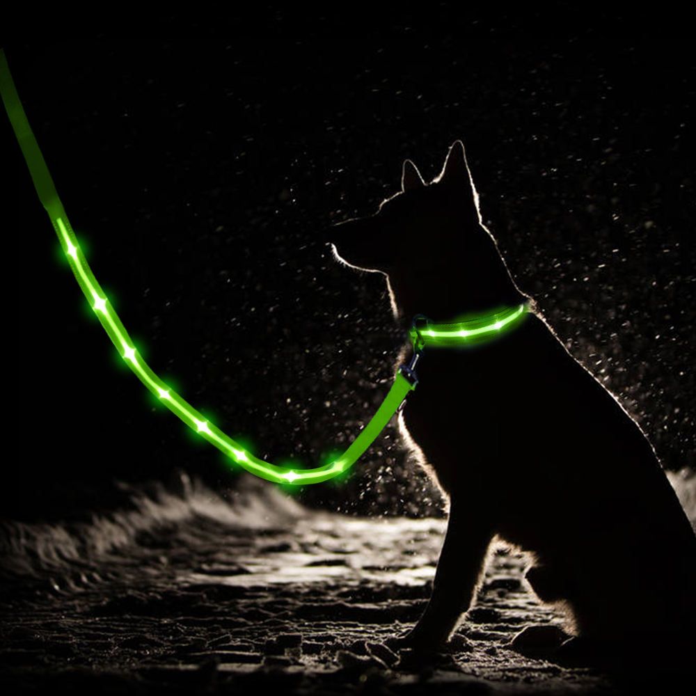LED Pet Collar and Leash Set