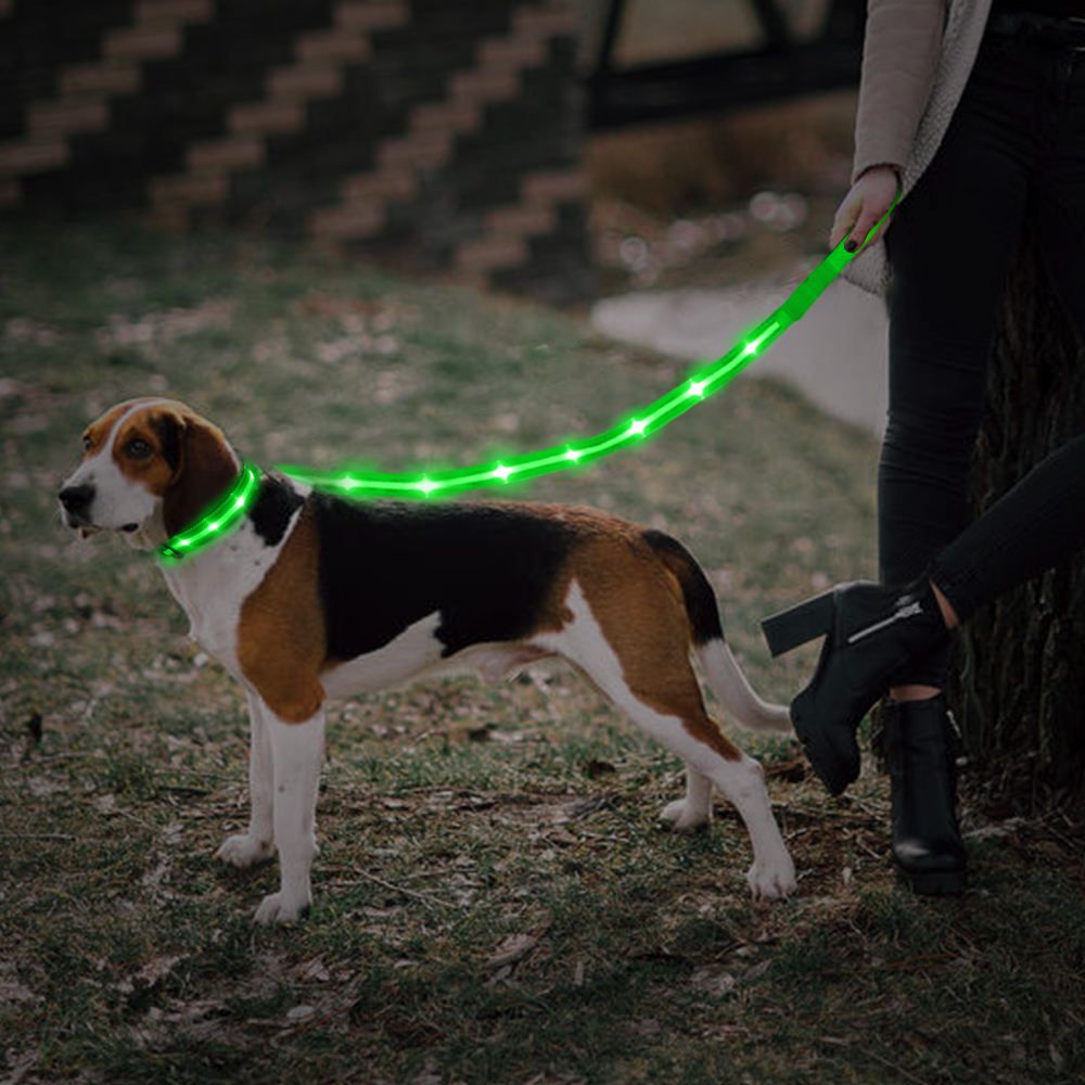 LED Pet Collar and Leash Set