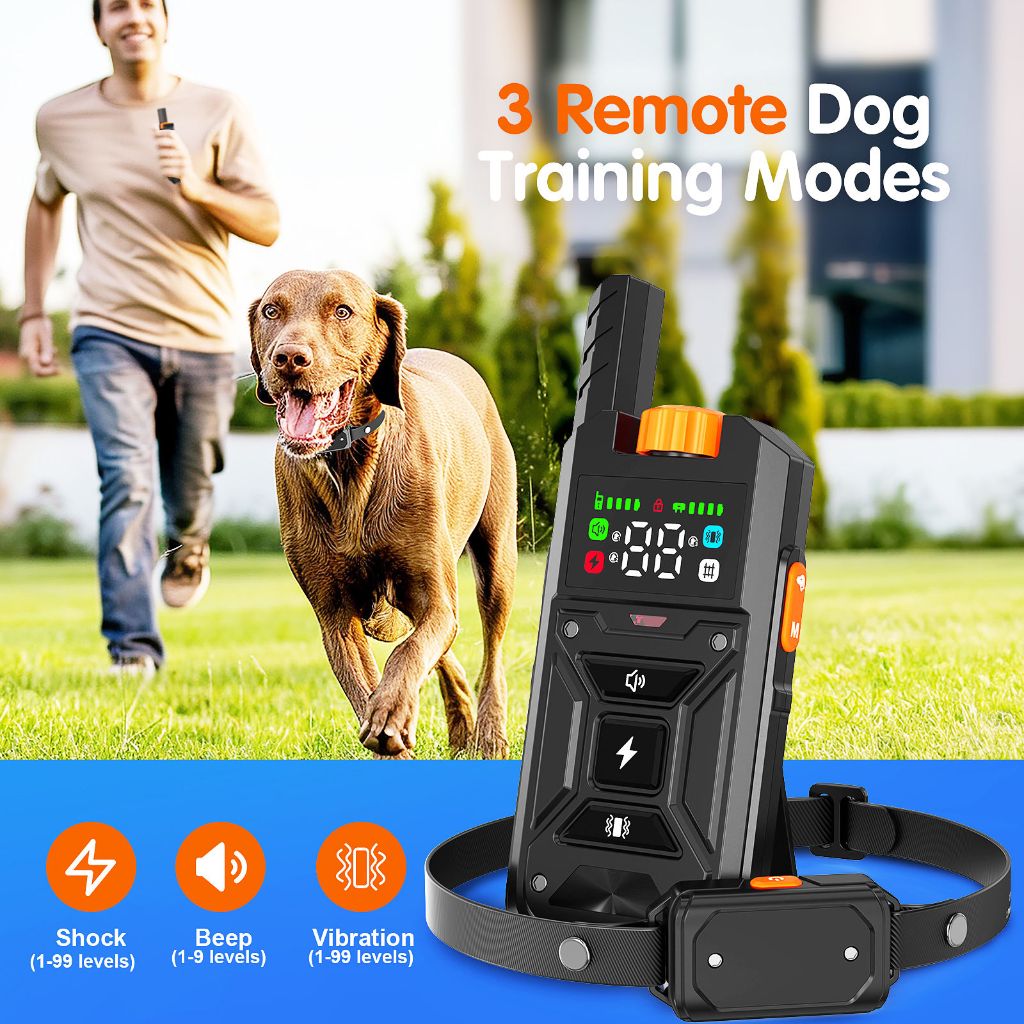 Electronic Pet Trainer