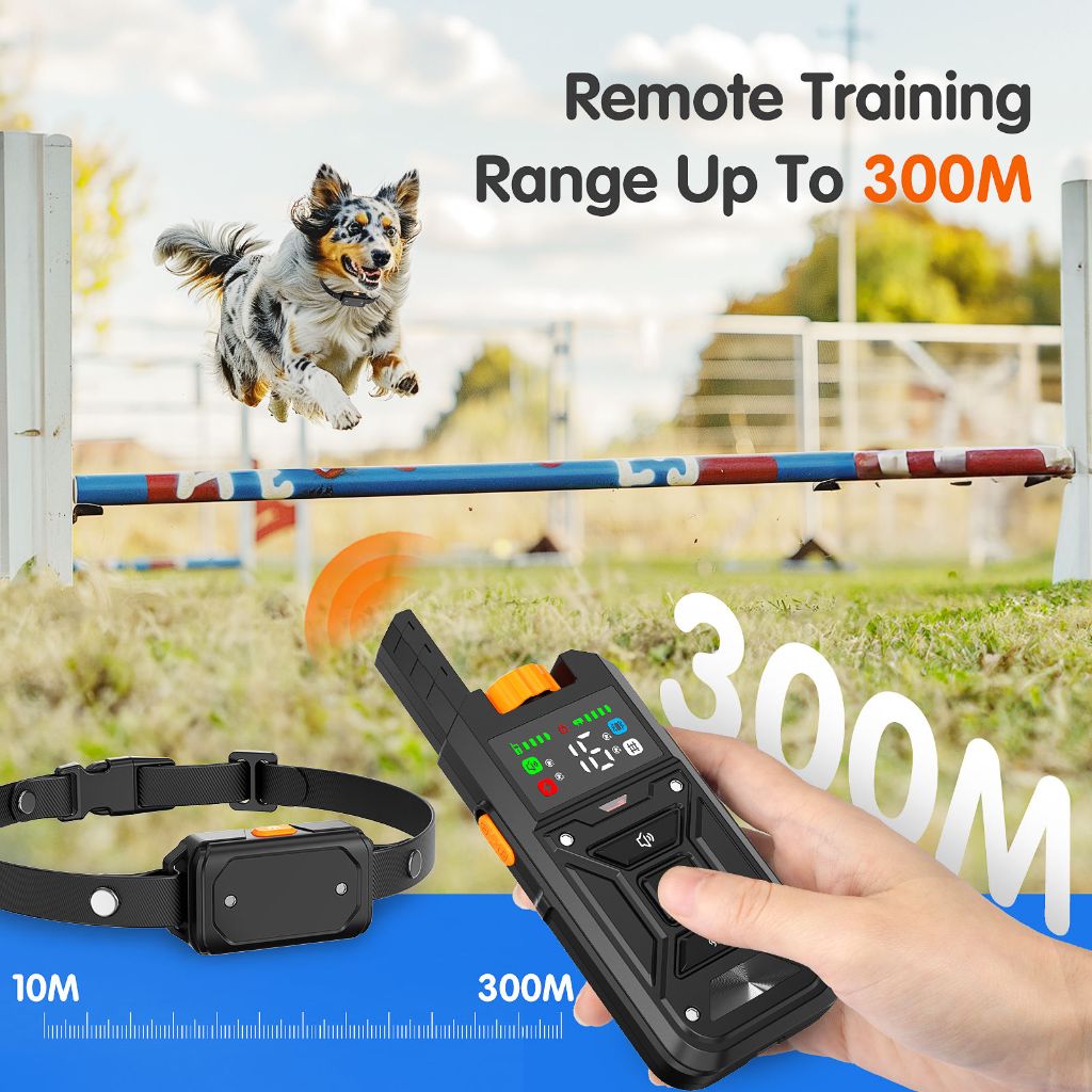 Electronic Pet Trainer