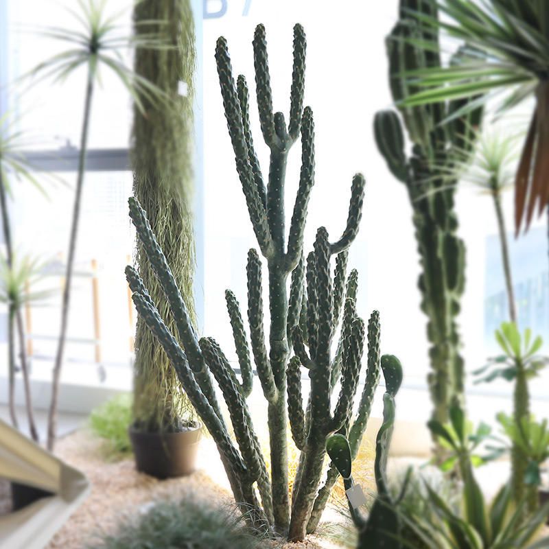 Columnar Cactus Potted Plant