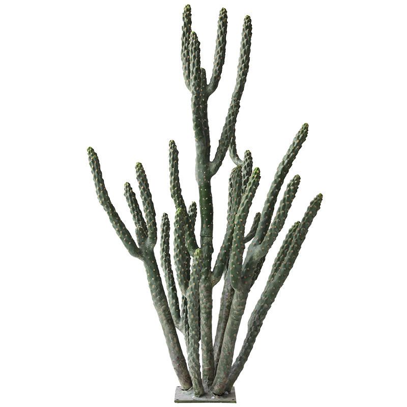 Columnar Cactus Potted Plant
