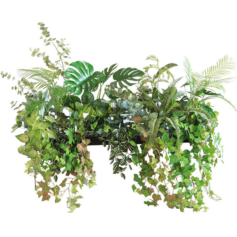 Modern Minimalist Black Rectangular Indoor Plant Pot