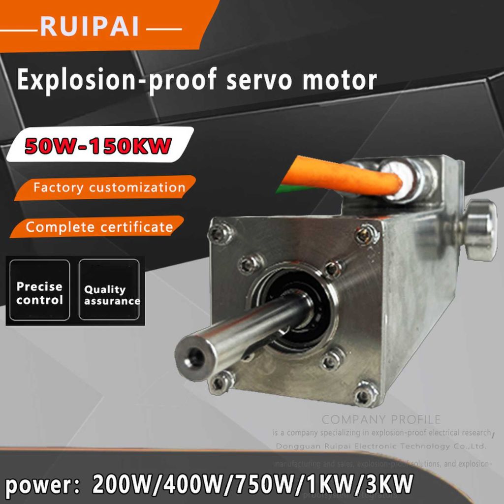 RuiPai Explosion-proof Servo Motor