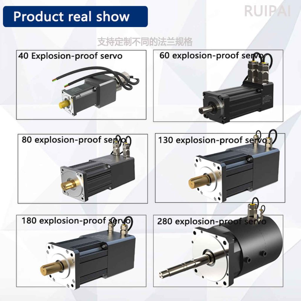RuiPai Explosion-proof Servo Motor