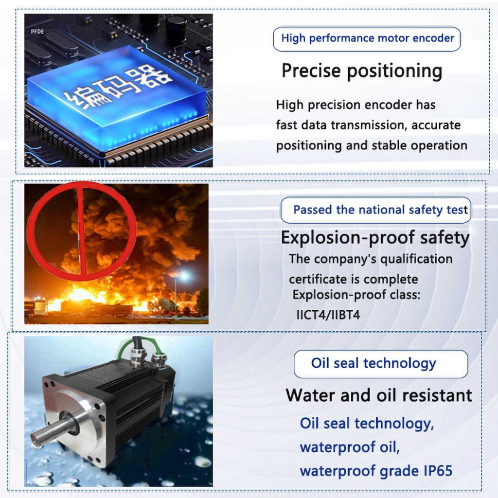 RuiPai Explosion-proof Servo Motor