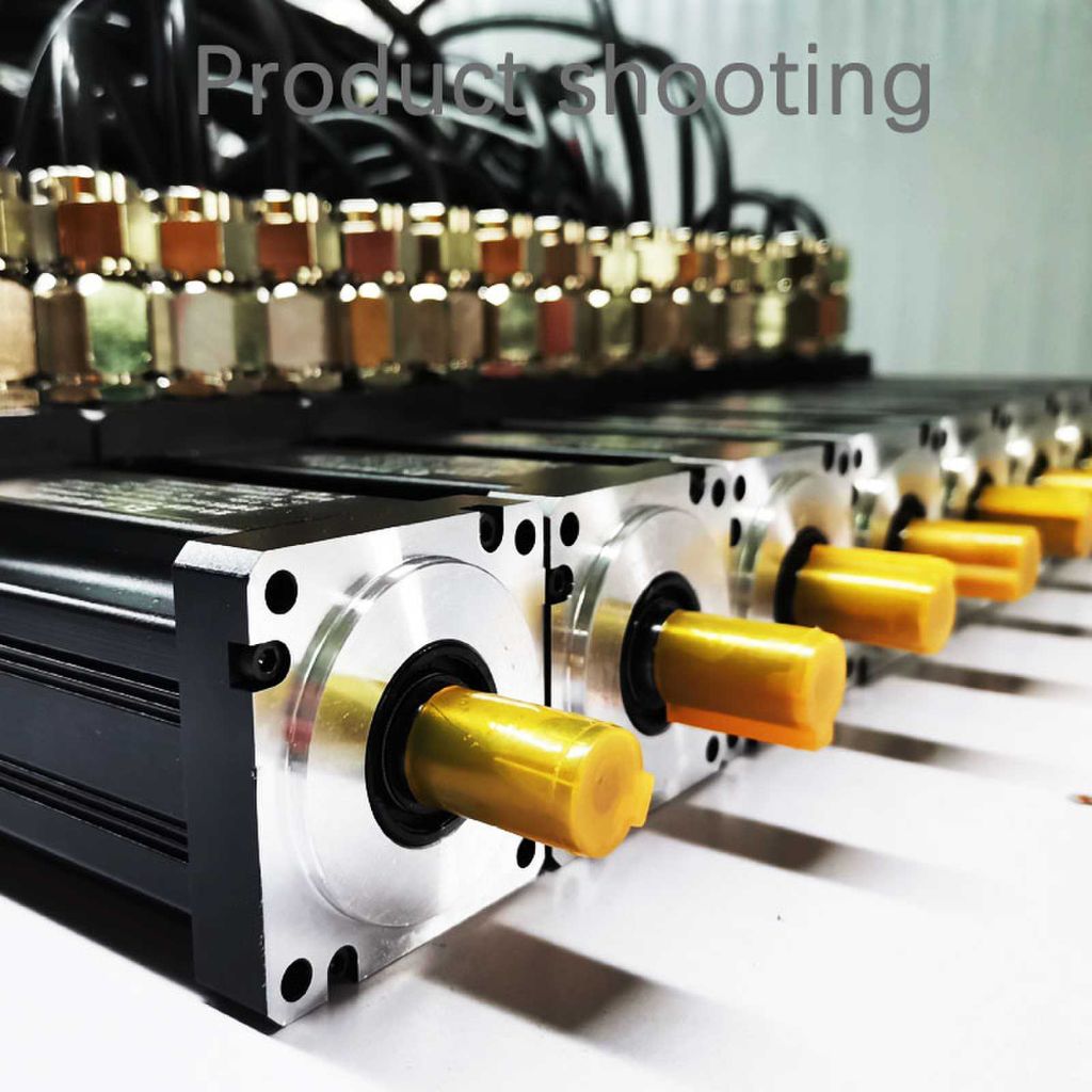 RuiPai Explosion-proof Servo Motor