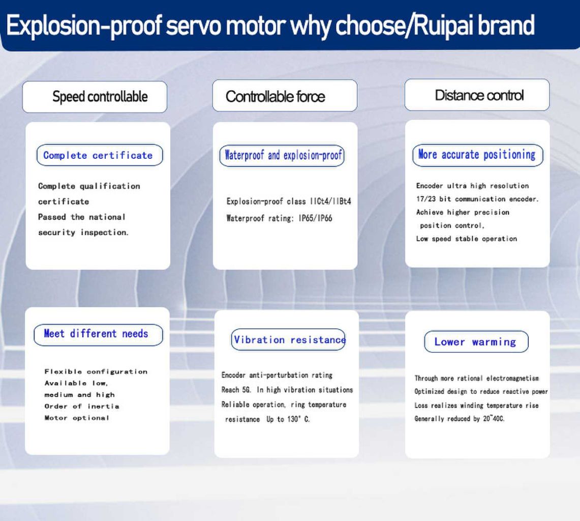 RuiPai Explosion-proof Servo Motor