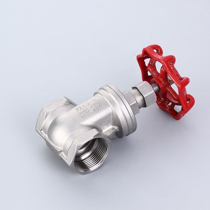 Stainless Steel Gate Valve