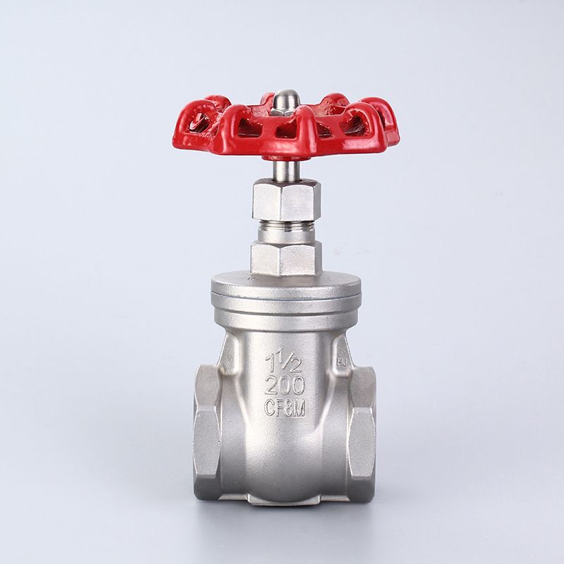 Stainless Steel Gate Valve