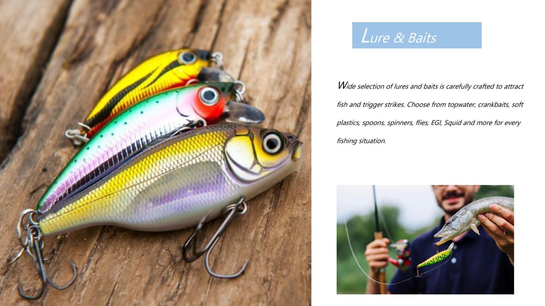 Colorful Bait