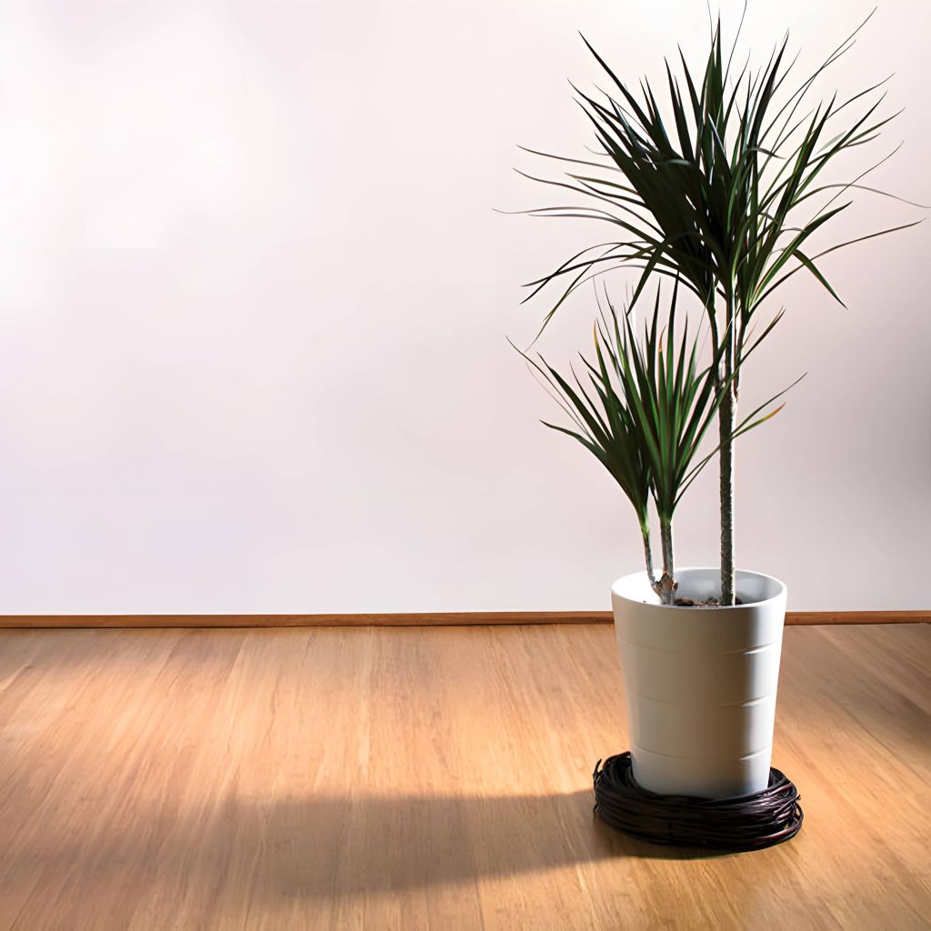 High-Quality Solid Wood Flooring