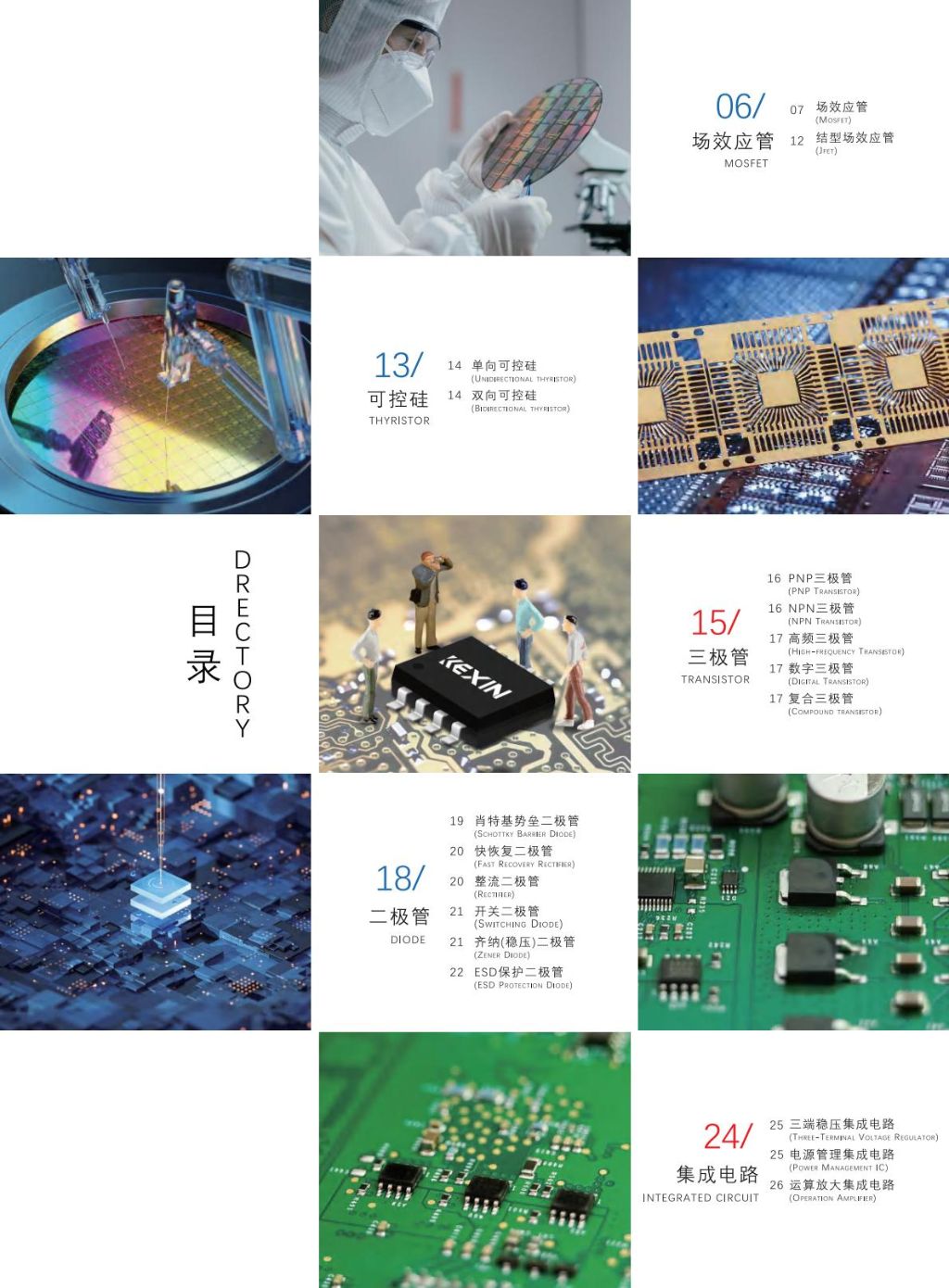 High-Performance Integrated Circuit Chips
