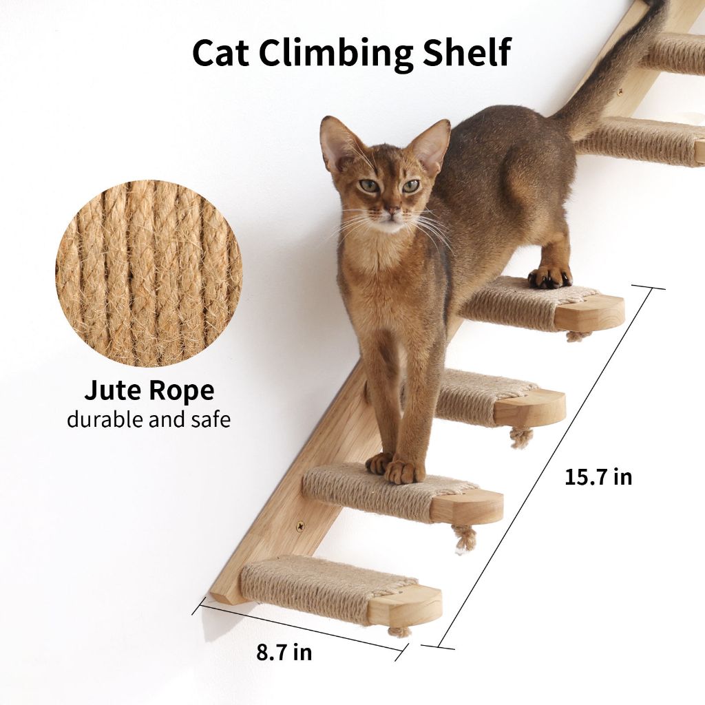 Cat Climbing Frame