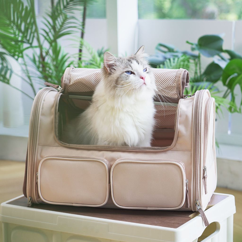 Breathable Pet Travel Bag