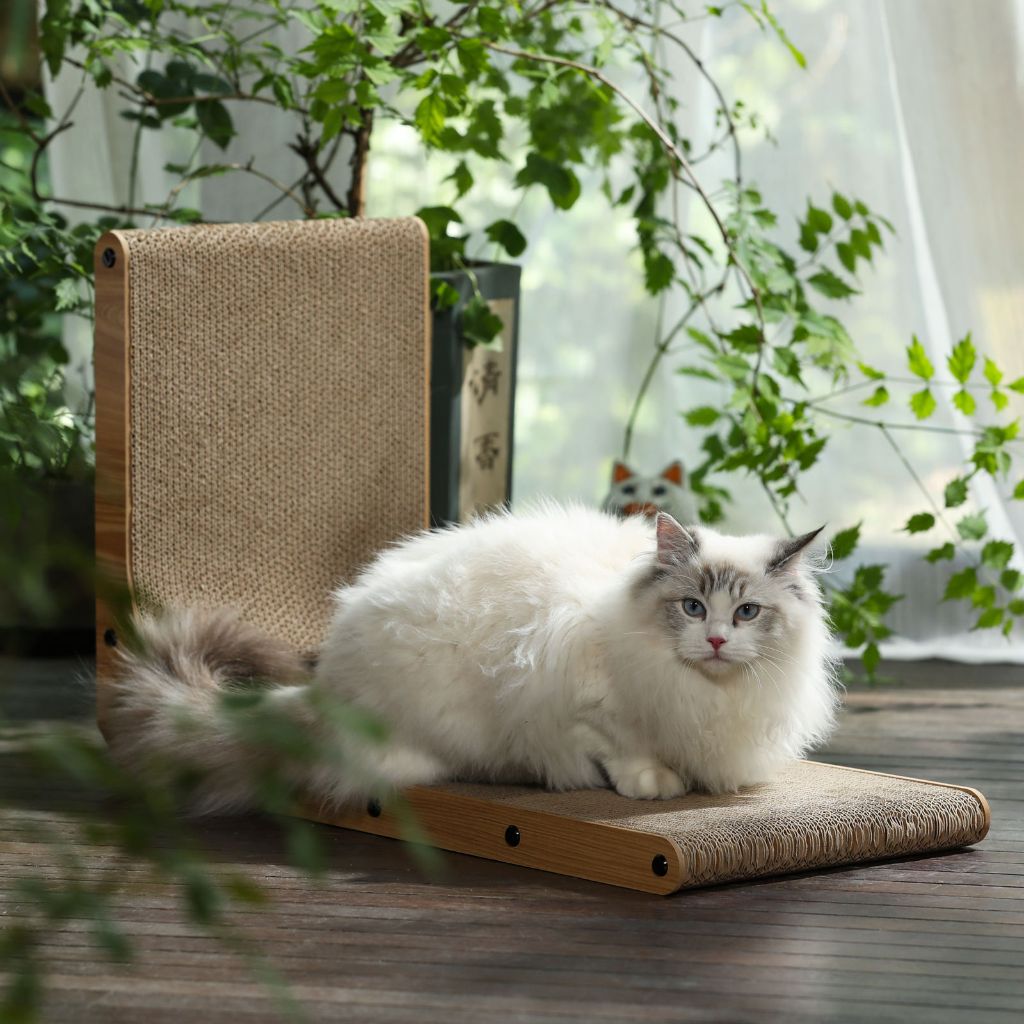Premium Cat Scratching Board