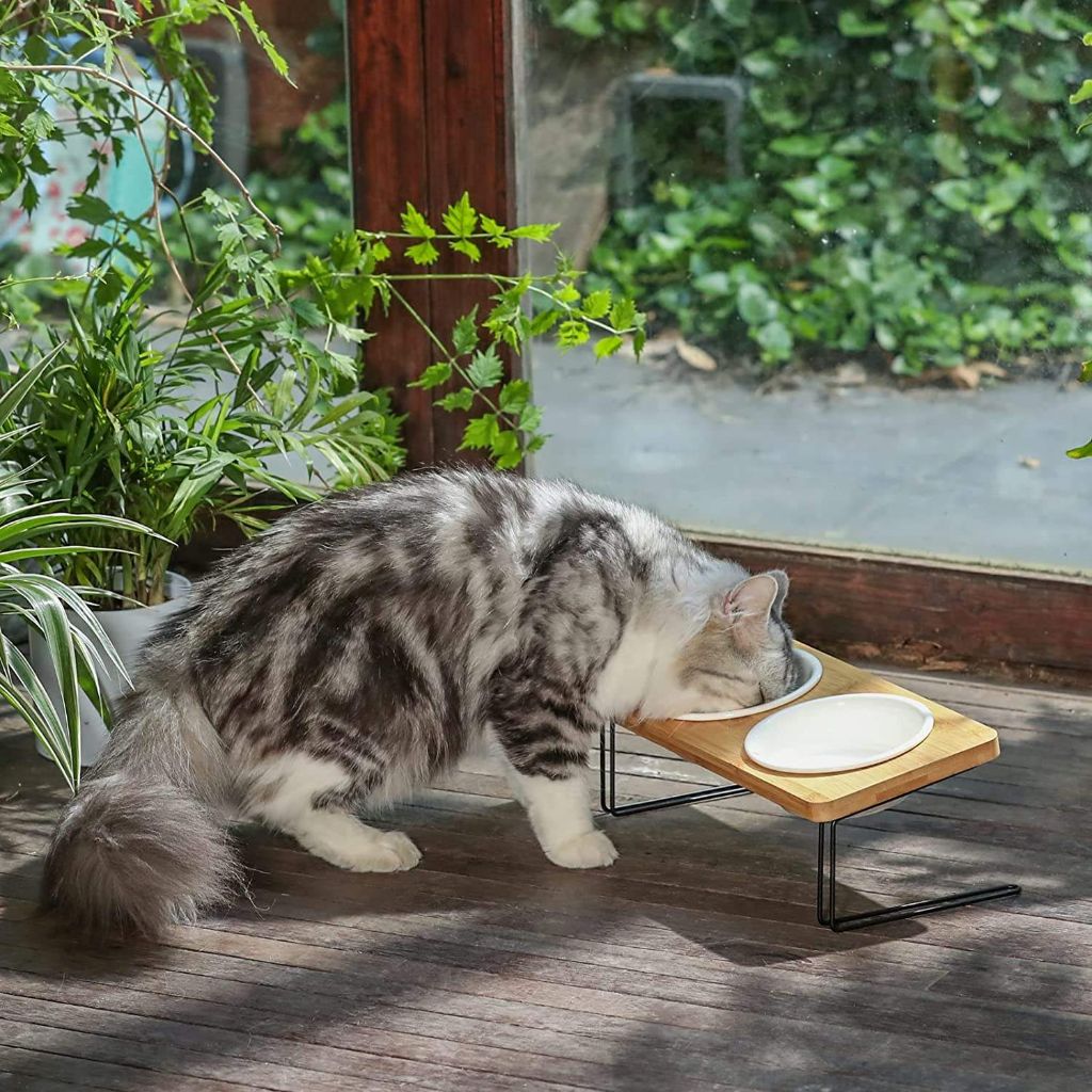 Cat Neck Protection Feeding Bowl