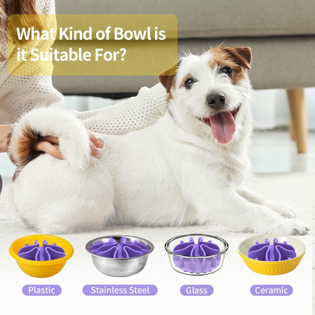 Slow Feed Dog Bowl Mat