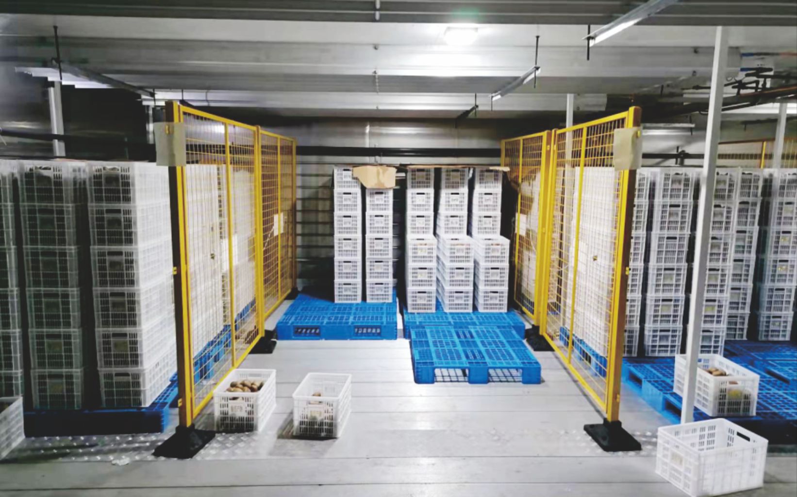 Cold Chain Transportation System