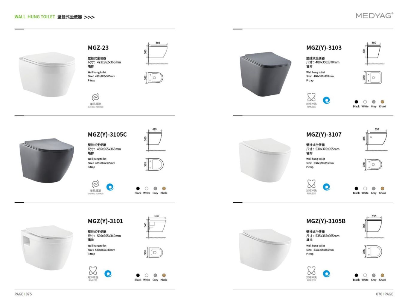 Wall-Mounted Toilet