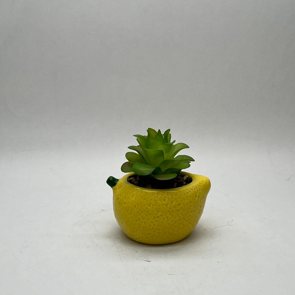 Red Dot Ceramic Flower Pot