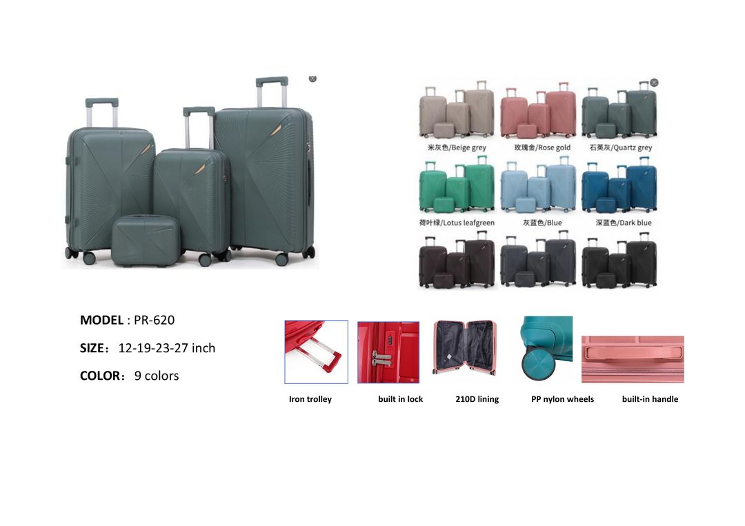 Multi-functional Travel Trolley Case