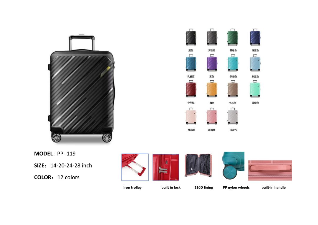 PP-119 Trolley Case
