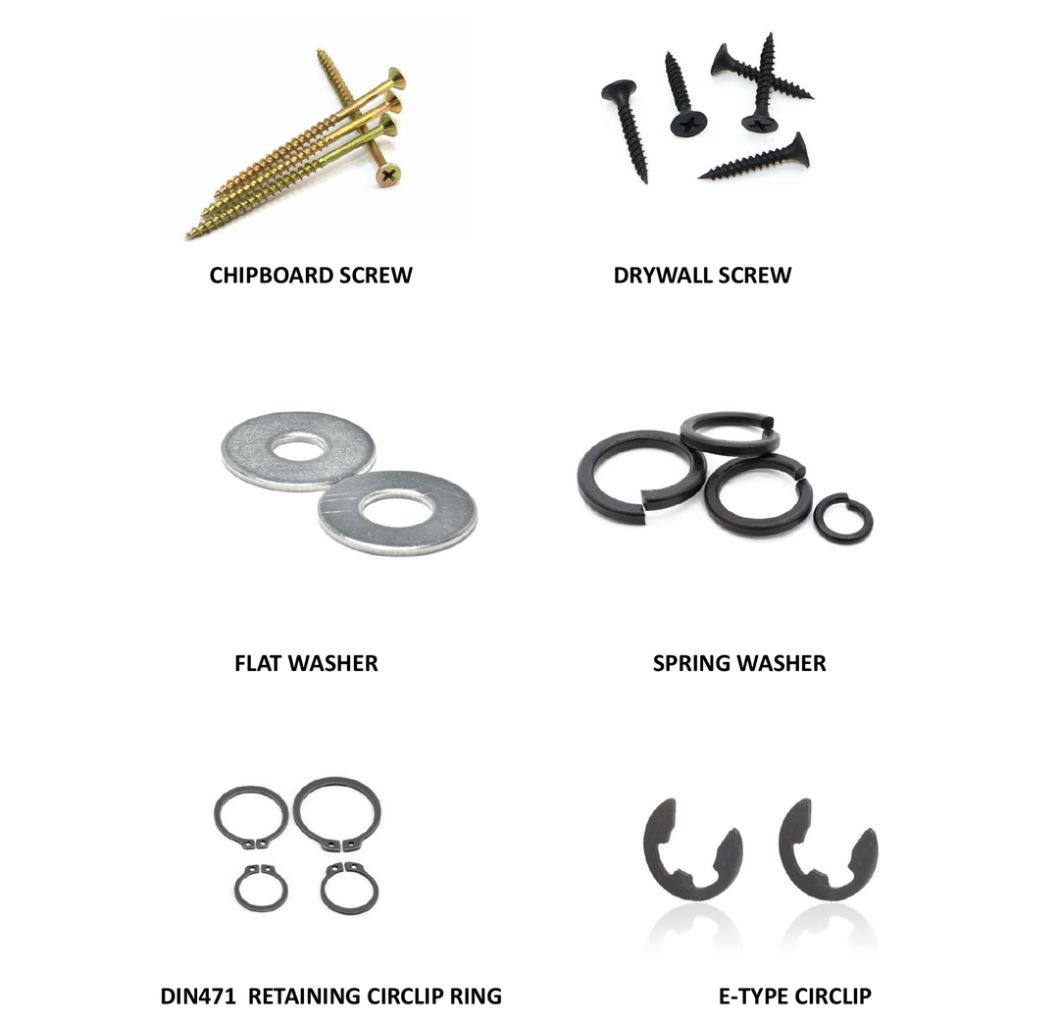 Multi-functional Screw and Washer Set