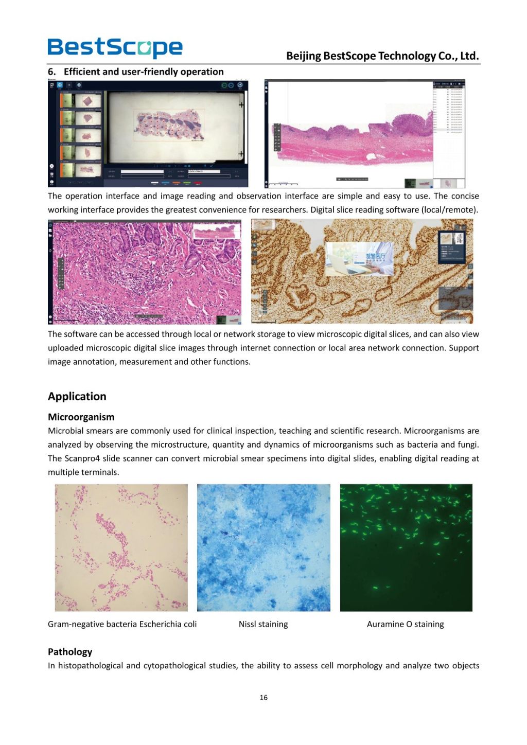 Scanpro3 Series Microscope Scanning System
