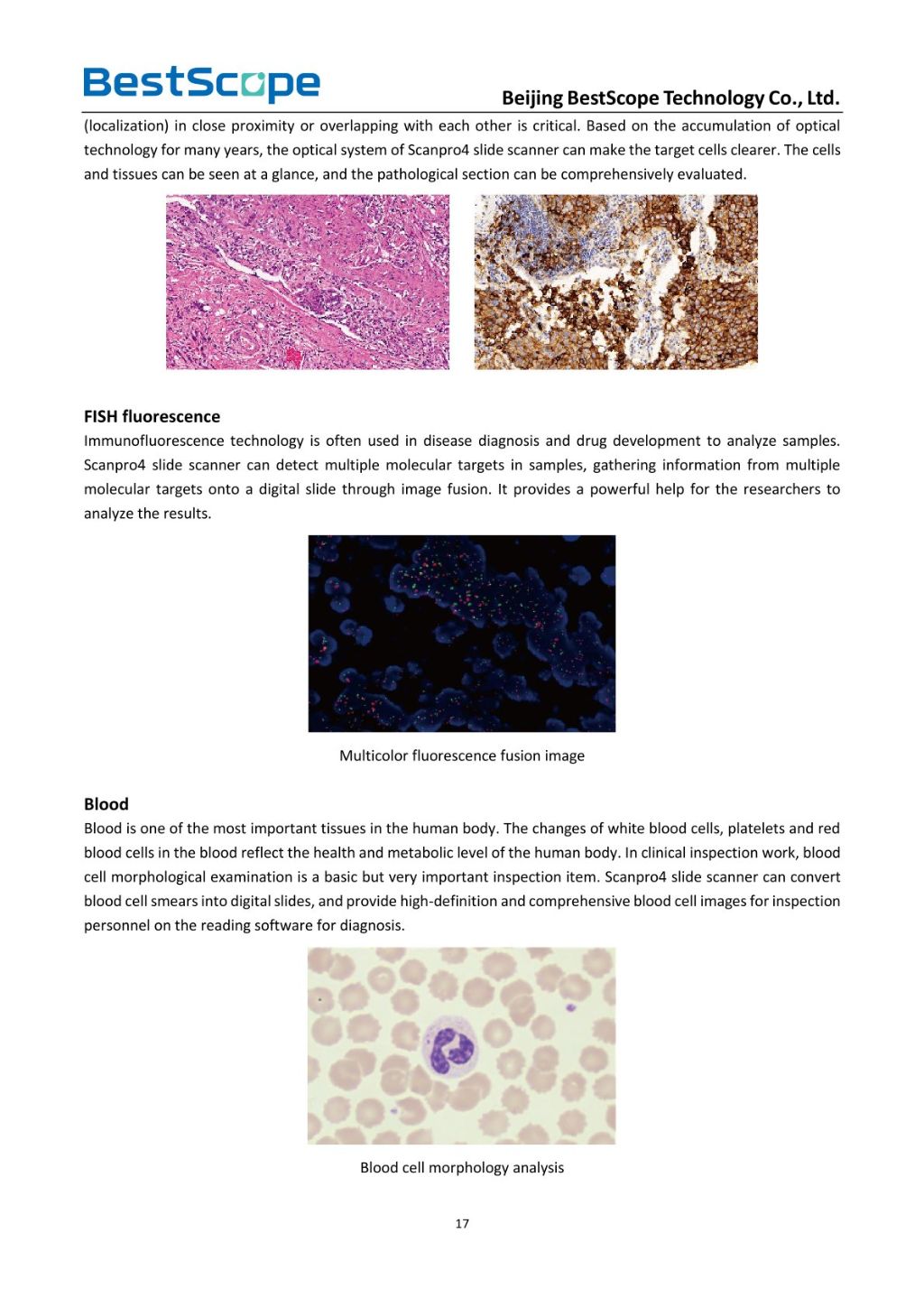 Scanpro3 Series Microscope Scanning System