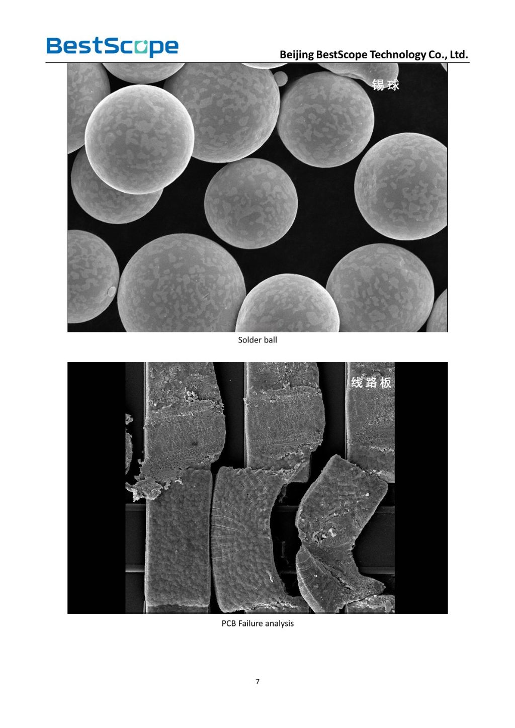 BSEM-691 Tungsten Filament Scanning Electron Microscope