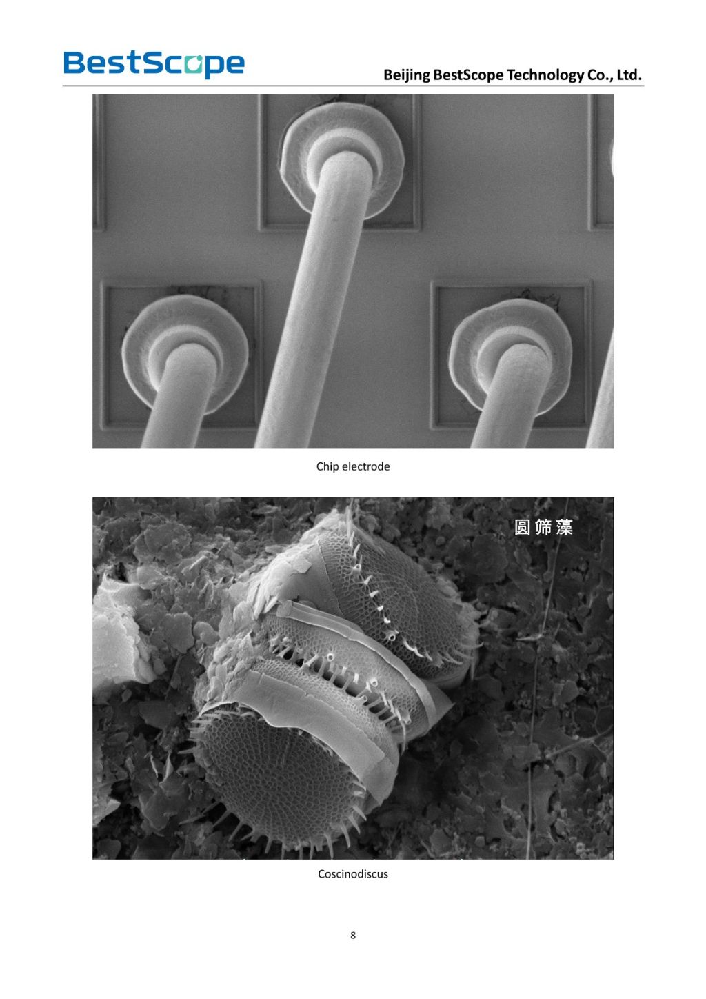 BSEM-691 Tungsten Filament Scanning Electron Microscope