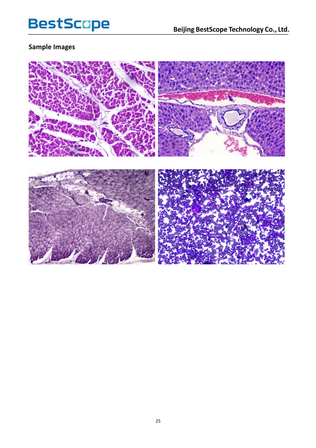 USB2.0 CMOS Microscope Digital Camera