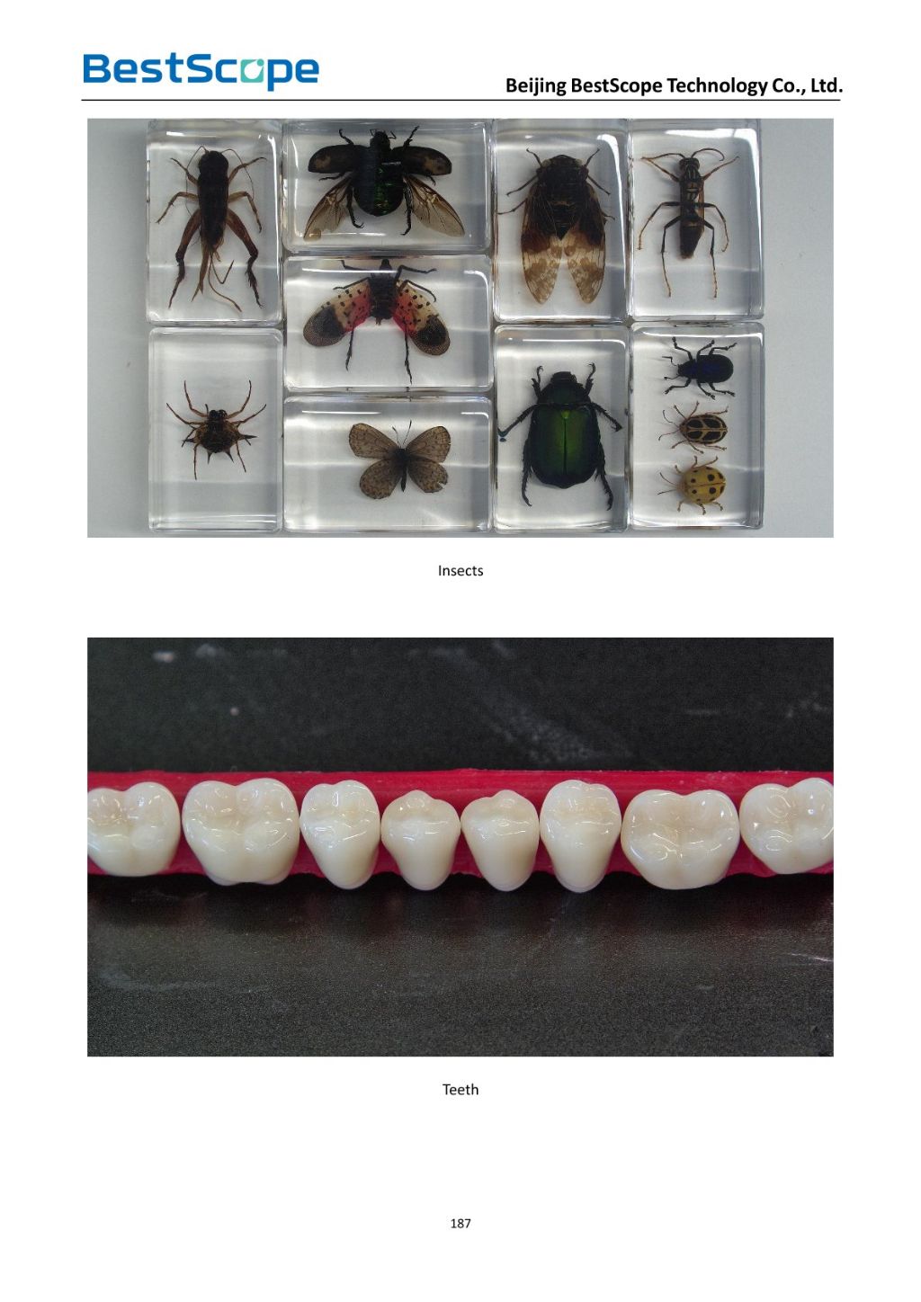 Canon EF Mount CMOS Camera