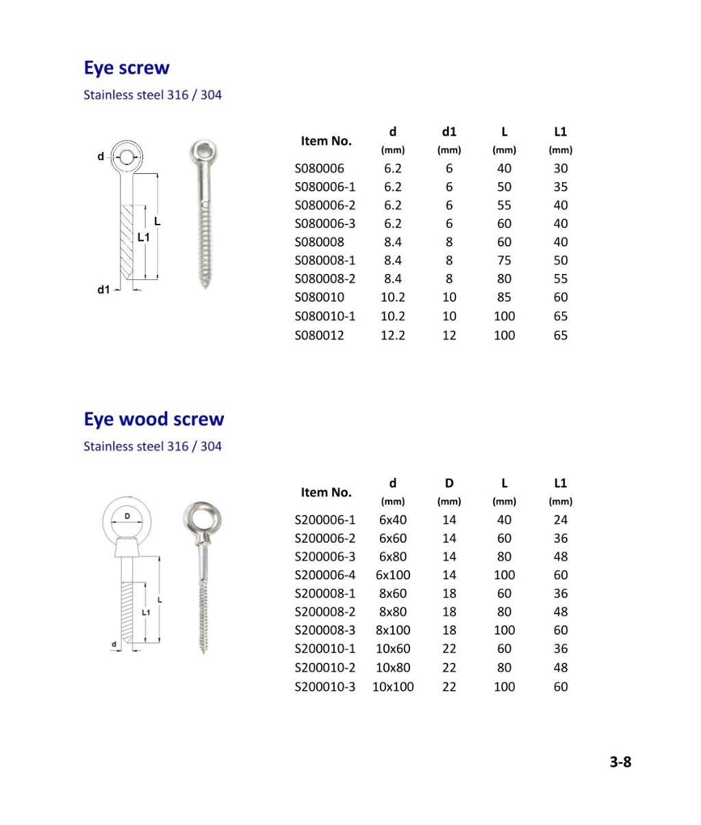 Stainless Steel Eye Screw