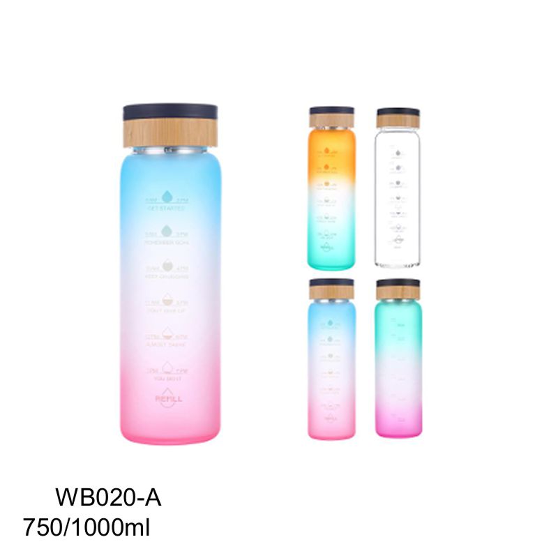 Gradient Color Water Bottle